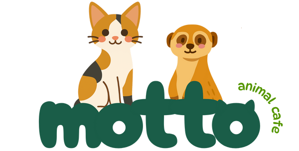Motto Animal Cafe