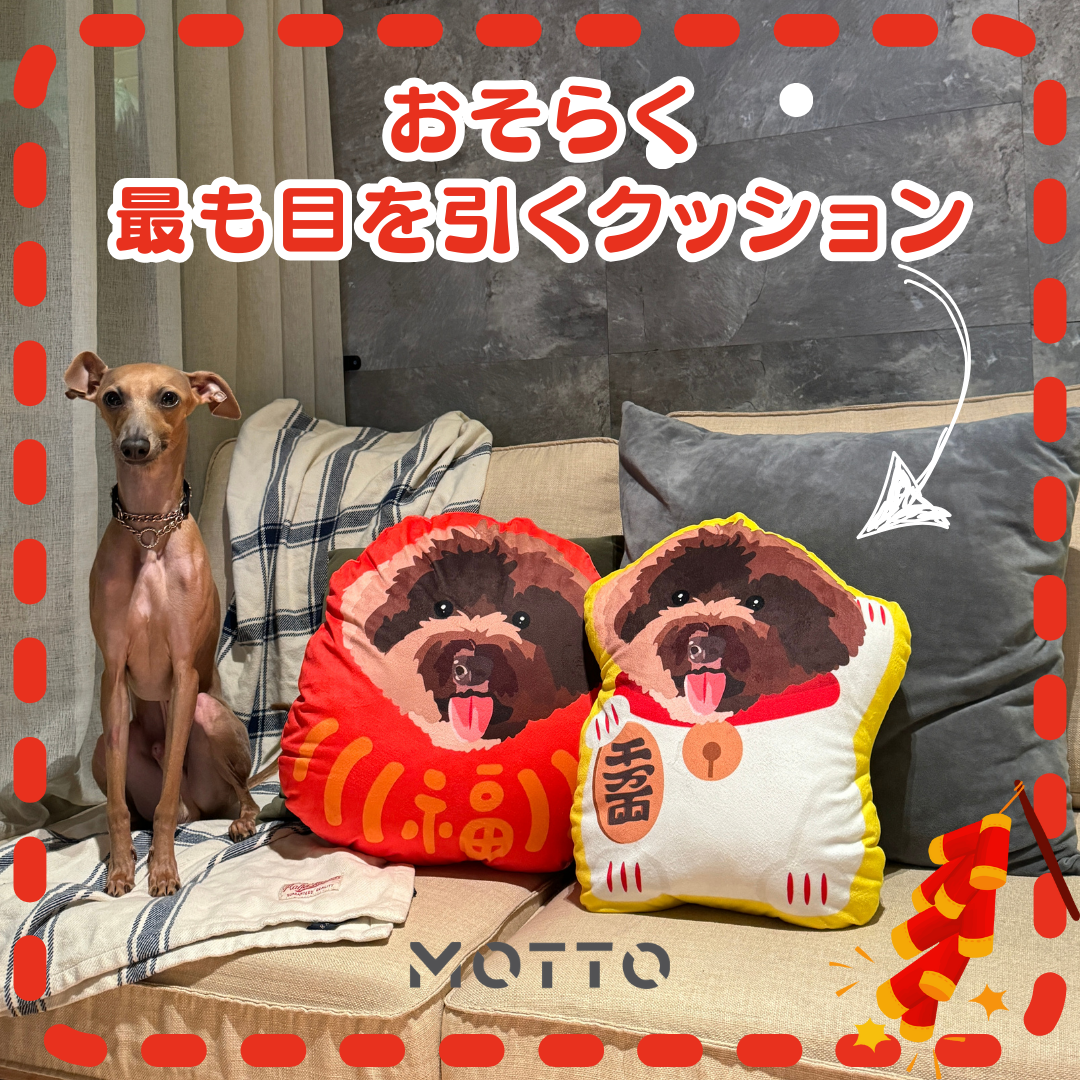 ✨ おそらく最も目を引くペットオーダーメイドクッション ✨