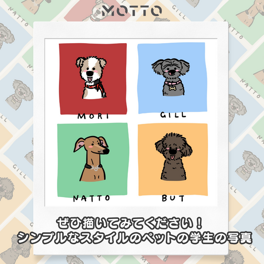 ✨ シンプルデザインのペット学生証写真 📸🐾